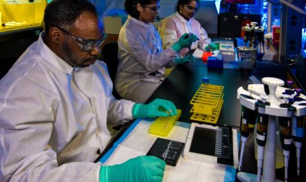 un laborantin manipule les échantillons d'un test ADN