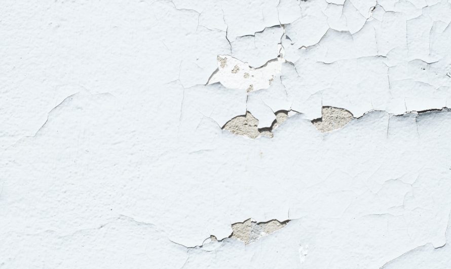 Solutions Efficaces pour Contrer l’Humidité des Murs en Plâtre